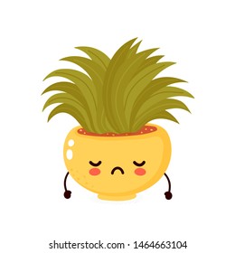 Cute sad cry old plant. Vector flat cartoon illustration icon design. Isolated on white background. Dried plant in pot concept