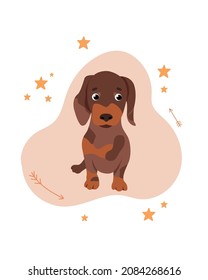 Cute sad dachshund sitting in front of white background. Black and tan wire haired dachshund puppy. Cartoon vector illusttation