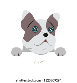 Cute sad dog on white background. Character. Vector illustration in cartoon style. Love Greeting card. Flat design.
