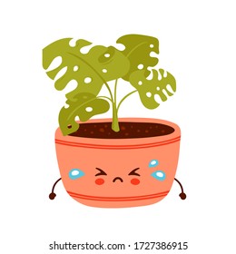 Cute sad funny monstera plant in pot. Vector cartoon character illustration icon design.Isolated on white background