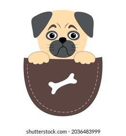 Cute sad pug in a pocket with paws. Vector character in a flat cute style. It is perfect for the design of a fubolka, a poster or for advertising pet supplies
