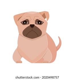 Cute sad pugdog on white background flat vector illustration