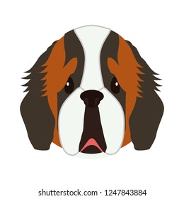 cute Saint Bernard dog head