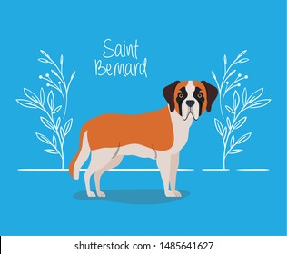 cute saint bernard dog pet character