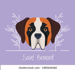 cute saint bernard dog pet head character