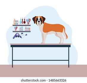 cute saint bernard dog pet character
