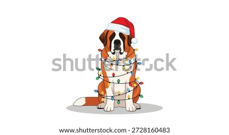 A cute Saint Bernard dog is sitting and wearing a red Santa hat, with colorful Christmas lights wrapped around its body.