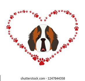 cute Saint Bernard in heart with pawprints