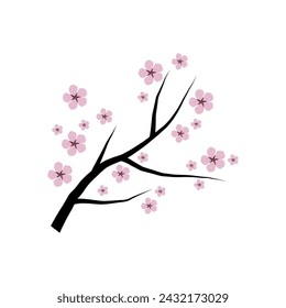 Cute sakura branch, or cherry blossoms, hand drawn. Spring tree branch on isolated background.