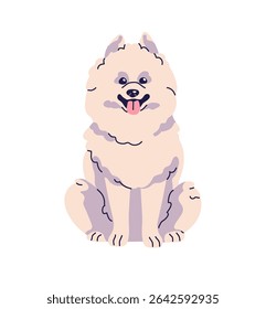 Cute Samoyed dog is sitting. Happy obedient puppy of Spitz with sticking tongue. Baby pup of Pomeranian relaxes. Funny fluffy doggy front view. Flat isolated vector illustration on white background