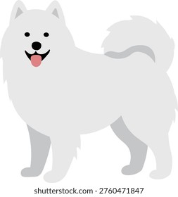 Cute Samoyed Dog Standing Pose Fluffy Pet Vector Illustration