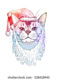 Cute Santa - cat in Santa's red hat. Colorful hand drawn illustration, isolated on white. Vector eps10.