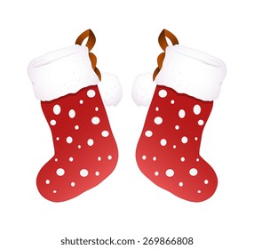Cute Santa Socks