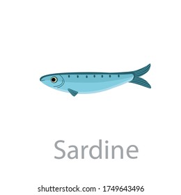 Cute sardine fish vector flat illustration. Marine animal swimming isolated on white background. Colorful cartoon clipart for design.