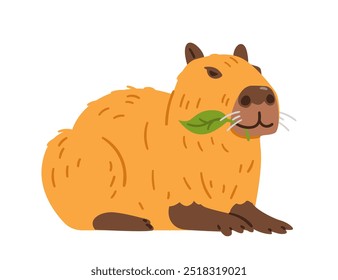 Cute satisfied capybara laying and eating green leaf flat vector illustration isolated on white.