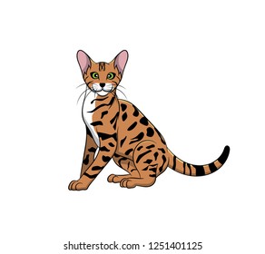 Cute Savannah Cartoon Cat. Vector illustration of purebred savannah cat.