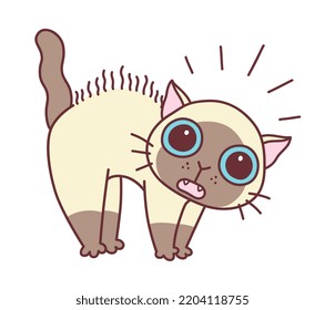 Cute scared cat minimal vector illustration. Doodle cartoon cats series.