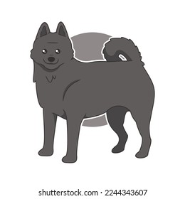 Perro de esquipperke simple aislado, ilustrativo diseño vectorial