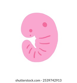 Cute science theme composition, postcard with funny hand drawn doodle human animal embryo. School, science, education objects background
