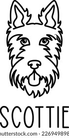 Cute scottie face. Dog head icon. Hand drawn isolated vector illustration in doodle style on white background