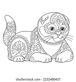 Cute Scottish fold cat. Adult coloring book page in mandala style