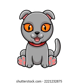 Cute scottish fold cat cartoon