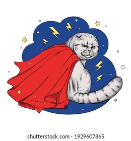  Cuto gato escocés plegado en capa superhéroe. Imagen elegante para imprimir en cualquier superficie