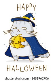 Cute scottish fold gray cat with pumpkin, witch hat and cloak isolated on white - character for magic halloween design