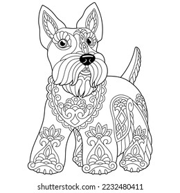 Cute scottish terrier dog. Adult coloring book page in mandala style