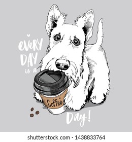 Cute Scottish Terrier puppy with a plastic cup of coffee. Every day is a coffee day - lettering quote. Humor card, t-shirt composition, hand drawn style print. Vector illustration.