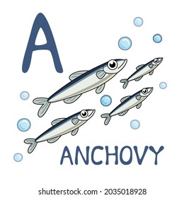 Serie Cute Sea Animal Alphabet. A es para anchoa. Ilustración de diseño de personaje de dibujos animados.