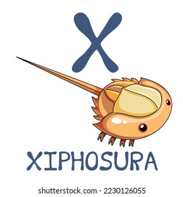 Cute Sea Animal Alphabet Series. X is for Xiphosura. Vector cartoon character design illustration.