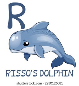 Cute Sea Animal Alphabet Series. R is for Risso's Dolphin. Vector cartoon character design illustration.