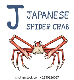 Cute Sea Animal Alphabet Series. J is for Japanese spider crab. Vector cartoon character design illustration.