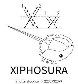 Cute Sea Animal Alphabet Series. X is for Xiphosura. Vector cartoon character design illustration. coloring and handwriting worksheet.