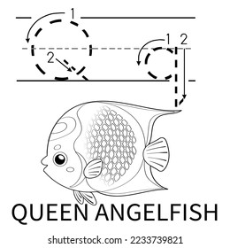 Cute Sea Animal Alphabet Series. Q is for Queen angelfish. Vector cartoon character design illustration. coloring and handwriting worksheet.