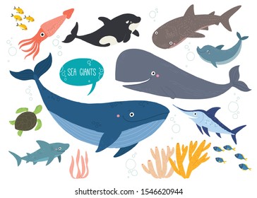 Cute sea animals set. Underwater animal creatures. Squid, orca, whale, shark, dolphin, swordfish and ocean turtle. Undersea world. Cartoon vector illustration isolated on white. Flat style.