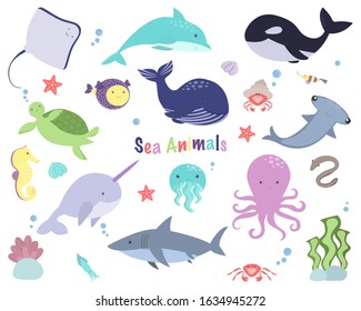 Cute sea animals vector set  Marine life: whale  shark  octopus  jellyfish  eel  hammerhead fish  turtle  crab  dolphin  seahorse 
