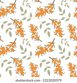 Espalda de espina dorsal sin costuras. Bayas de espinas marinas, ramas y hojas aisladas sobre fondo blanco. Vector shabby ilustración dibujada a mano