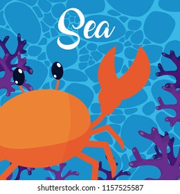 Cute sea cartoons