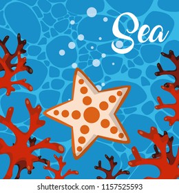 Cute sea cartoons
