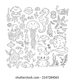 Cute sea creatures   underwater animals doodle set  Water turtle  whale  octopus  jellyfish  crab   fish  Marine life elements in sketch style  Outline vector illustration