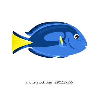 Cute sea fish. Blue tang or Regal tang  isolated on white background. Vector cartoon illustration.