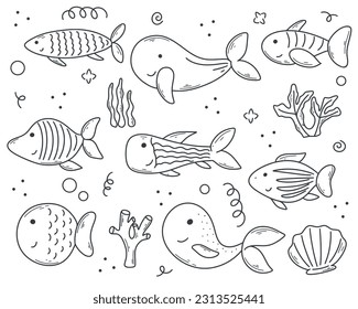 Cute sea fish and seaweed hand drawn set. Childish fish characters ink doodle sketch style collection. Simple outline underwater world, isolated vector illustration