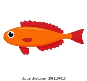 Cute sea fish. Vector cartoon character in ocean. Tropical fish