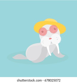 Cute sea lion.