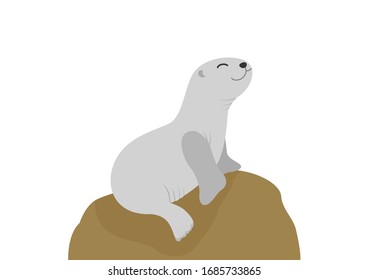 Cute sea lion on white background, Sea lion cartoon vector illustration