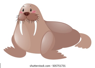 Cute sea lion on white background illustration