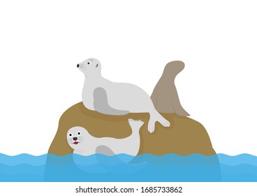 Cute sea lion at rock and in the sea, Sea lion cartoon vector illustration