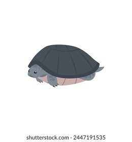 Lindo mar o océano tortuga animal de estilo plano, Ilustración vectorial aislada sobre fondo blanco. Elemento de diseño decorativo, naturaleza y vida silvestre, animal acuático